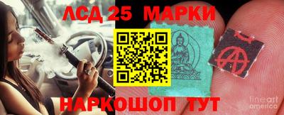 гидра Тара