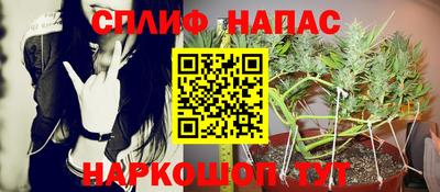 гидра Тара