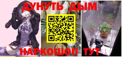 гидра Тара