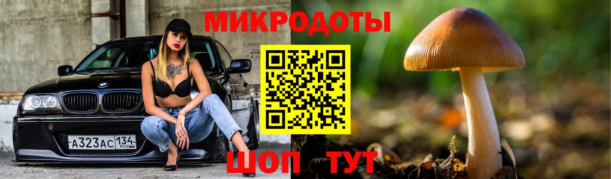 Псилоцибиновые грибы MAGIC MUSHROOMS  Вход с VPN  Галлюциногенные грибы Cubensis  Павловский Посад 